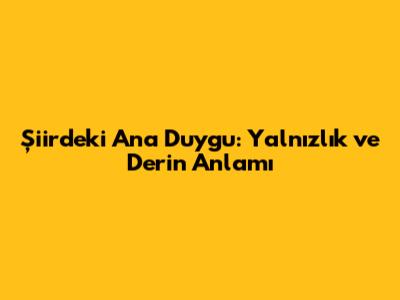 Şiirdeki Ana Duygu: Yalnızlık ve Derin Anlamı
