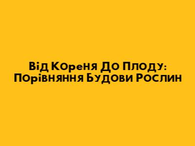 Від Кореня До Плоду: Порівняння Будови Рослин