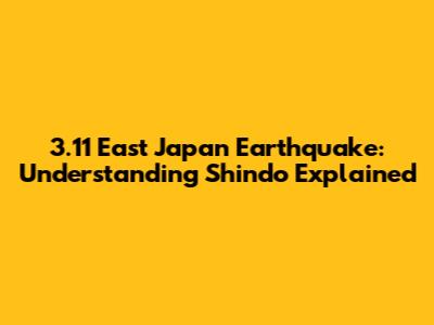 3.11 East Japan Earthquake: Understanding Shindo Explained