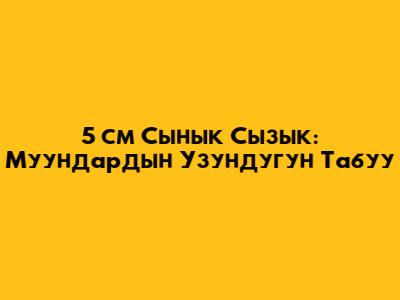 5 см Сынык Сызык: Муундардын Узундугун Табуу