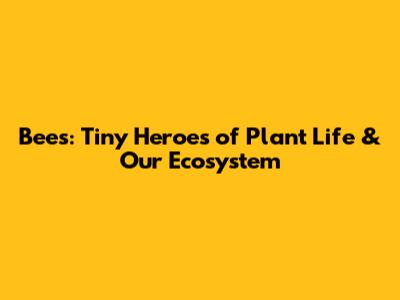 Bees: Tiny Heroes of Plant Life & Our Ecosystem