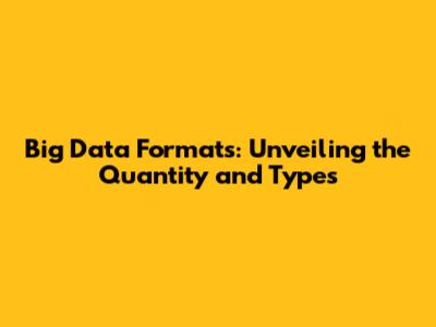 Big Data Formats: Unveiling the Quantity and Types
