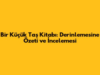 Bir Küçük Taş Kitabı: Derinlemesine Özeti ve İncelemesi