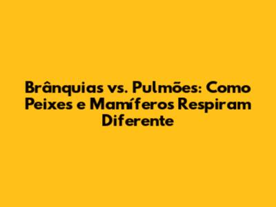 Brânquias vs. Pulmões: Como Peixes e Mamíferos Respiram Diferente