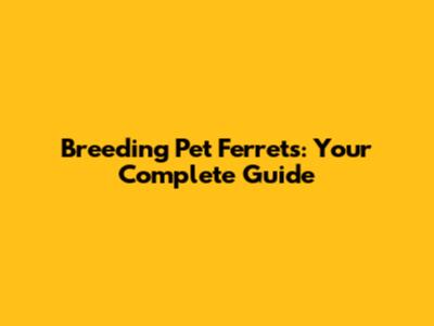 Breeding Pet Ferrets: Your Complete Guide