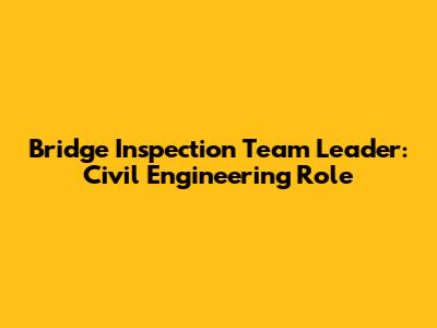 Bridge Inspection Team Leader: Civil Engineering Role