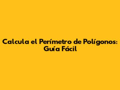 Calcula el Perímetro de Polígonos: Guía Fácil