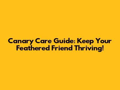 Canary Care Guide: Keep Your Feathered Friend Thriving!