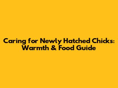 Caring for Newly Hatched Chicks: Warmth & Food Guide