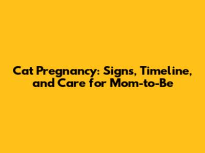 Cat Pregnancy: Signs, Timeline, and Care for Mom-to-Be