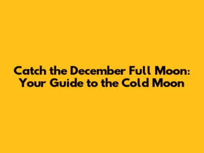 Catch the December Full Moon: Your Guide to the Cold Moon