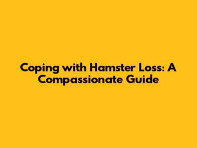 Coping with Hamster Loss: A Compassionate Guide
