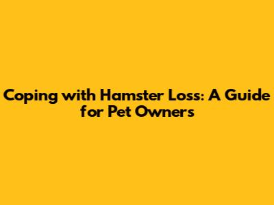 Coping with Hamster Loss: A Guide for Pet Owners