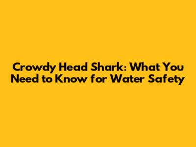 Crowdy Head Shark: What You Need to Know for Water Safety