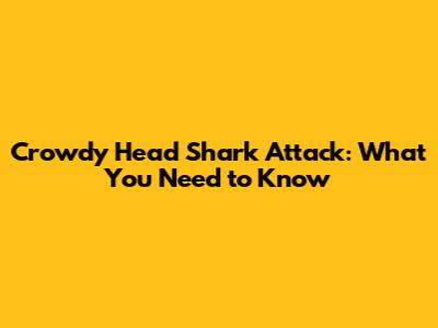 Crowdy Head Shark Attack: What You Need to Know