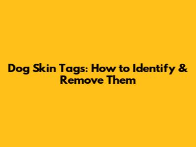 Dog Skin Tags: How to Identify & Remove Them