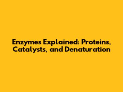 Enzymes Explained: Proteins, Catalysts, and Denaturation