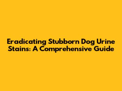 Eradicating Stubborn Dog Urine Stains: A Comprehensive Guide