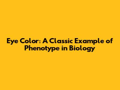 Eye Color: A Classic Example of Phenotype in Biology