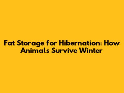 Fat Storage for Hibernation: How Animals Survive Winter