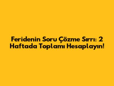 Feride'nin Soru Çözme Sırrı: 2 Haftada Toplamı Hesaplayın!