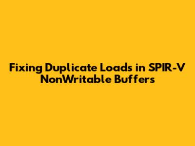 Fixing Duplicate Loads in SPIR-V NonWritable Buffers