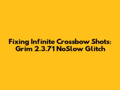 Fixing Infinite Crossbow Shots: Grim 2.3.71 NoSlow Glitch