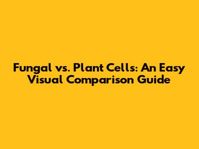 Fungal vs. Plant Cells: An Easy Visual Comparison Guide