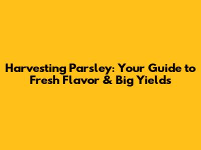 Harvesting Parsley: Your Guide to Fresh Flavor & Big Yields