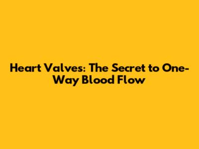 Heart Valves: The Secret to One-Way Blood Flow