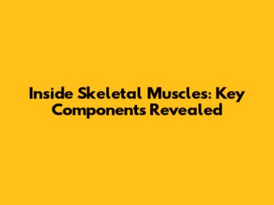 Inside Skeletal Muscles: Key Components Revealed