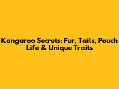 Kangaroo Secrets: Fur, Tails, Pouch Life & Unique Traits
