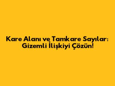 Kare Alanı ve Tamkare Sayılar: Gizemli İlişkiyi Çözün!