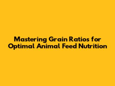 Mastering Grain Ratios for Optimal Animal Feed Nutrition