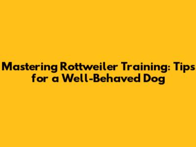 Mastering Rottweiler Training: Tips for a Well-Behaved Dog