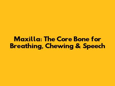 Maxilla: The Core Bone for Breathing, Chewing & Speech