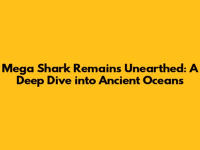 Mega Shark Remains Unearthed: A Deep Dive into Ancient Oceans