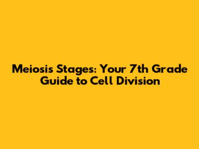 Meiosis Stages: Your 7th Grade Guide to Cell Division