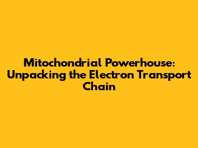 Mitochondrial Powerhouse: Unpacking the Electron Transport Chain