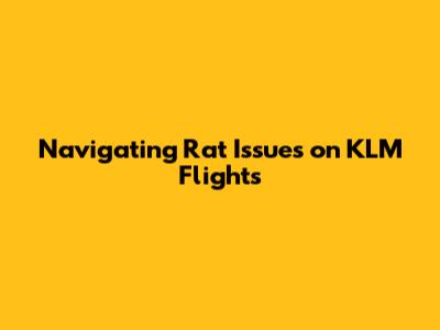 Navigating Rat Issues on KLM Flights