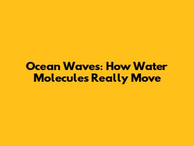 Ocean Waves: How Water Molecules Really Move
