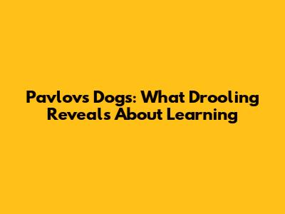 Pavlov's Dogs: What Drooling Reveals About Learning