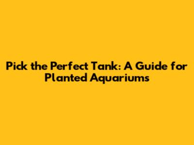 Pick the Perfect Tank: A Guide for Planted Aquariums