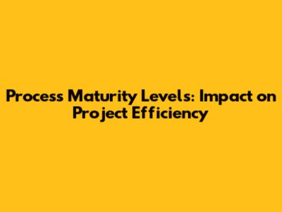 Process Maturity Levels: Impact on Project Efficiency