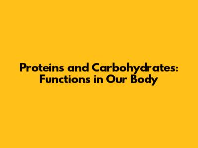 Proteins and Carbohydrates: Functions in Our Body