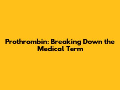 Prothrombin: Breaking Down the Medical Term