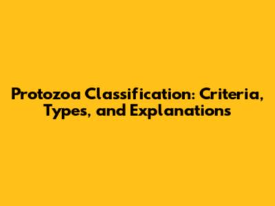 Protozoa Classification: Criteria, Types, and Explanations