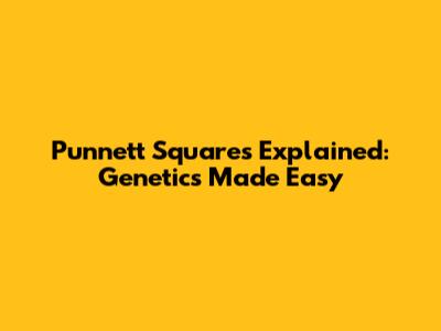 Punnett Squares Explained: Genetics Made Easy