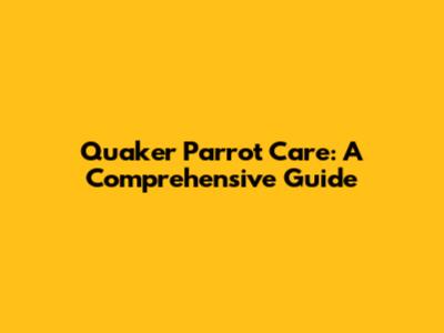 Quaker Parrot Care: A Comprehensive Guide