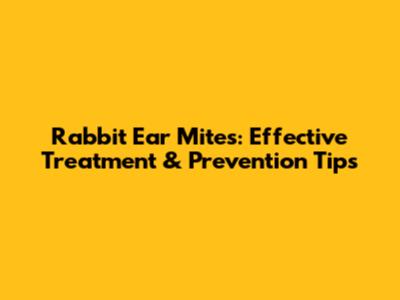 Rabbit Ear Mites: Effective Treatment & Prevention Tips